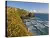 Evening Light on Carnewas Island, Beach and Rugged Coastline at Bedruthan Steps, England-Neale Clark-Stretched Canvas