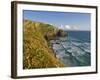 Evening Light on Carnewas Island, Beach and Rugged Coastline at Bedruthan Steps, England-Neale Clark-Framed Photographic Print