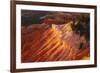 Evening light on Cedar Breaks, Cedar Breaks National Monument, Utah, USA.-Russ Bishop-Framed Photographic Print