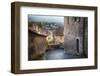 Evening Light on Flower Covered Buildings-Terry Eggers-Framed Photographic Print