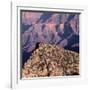 Evening Light on Freya Castle, Grand Canyon National Park-John Barger-Framed Photographic Print