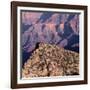 Evening Light on Freya Castle, Grand Canyon National Park-John Barger-Framed Photographic Print