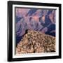 Evening Light on Freya Castle, Grand Canyon National Park-John Barger-Framed Photographic Print