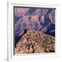 Evening Light on Freya Castle, Grand Canyon National Park-John Barger-Framed Photographic Print