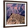 Evening Light on Freya Castle, Grand Canyon National Park-John Barger-Framed Photographic Print