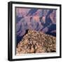 Evening Light on Freya Castle, Grand Canyon National Park-John Barger-Framed Photographic Print