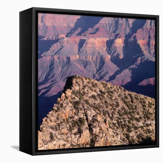 Evening Light on Freya Castle, Grand Canyon National Park-John Barger-Framed Stretched Canvas