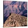 Evening Light on Freya Castle, Grand Canyon National Park-John Barger-Stretched Canvas