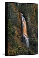 Evening Light on Mist Falls-Steve Terrill-Framed Stretched Canvas