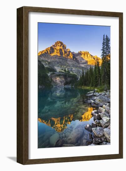 Evening light on Mount Huber above Lake O'hara, Yoho National Park, British Columbia, Canada-Russ Bishop-Framed Photographic Print