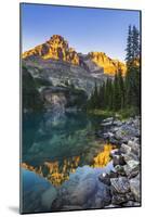 Evening light on Mount Huber above Lake O'hara, Yoho National Park, British Columbia, Canada-Russ Bishop-Mounted Photographic Print