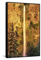 Evening Light on Multnomah Falls-Steve Terrill-Framed Stretched Canvas