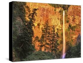Evening Light on Multnomah Falls-Steve Terrill-Stretched Canvas