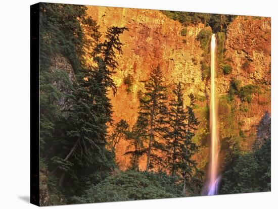 Evening Light on Multnomah Falls-Steve Terrill-Stretched Canvas