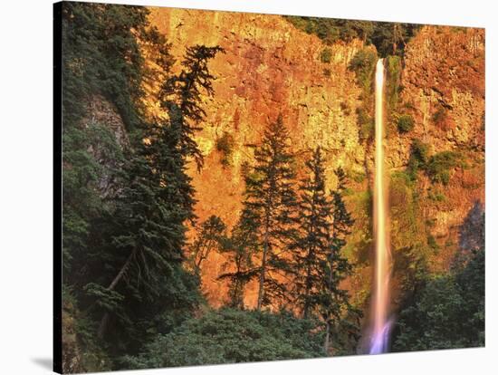 Evening Light on Multnomah Falls-Steve Terrill-Stretched Canvas