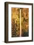 Evening Light on Multnomah Falls-Steve Terrill-Framed Photographic Print