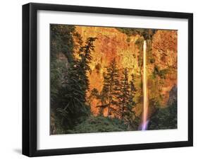 Evening Light on Multnomah Falls-Steve Terrill-Framed Photographic Print