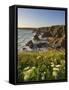 Evening Light on Rock Stacks, Beach and Rugged Coastline, Bedruthan Steps, North Cornwall, England-Neale Clark-Framed Stretched Canvas