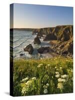 Evening Light on Rock Stacks, Beach and Rugged Coastline, Bedruthan Steps, North Cornwall, England-Neale Clark-Stretched Canvas