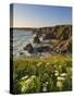 Evening Light on Rock Stacks, Beach and Rugged Coastline, Bedruthan Steps, North Cornwall, England-Neale Clark-Stretched Canvas