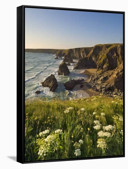 Evening Light on Rock Stacks, Beach and Rugged Coastline, Bedruthan Steps, North Cornwall, England-Neale Clark-Framed Stretched Canvas