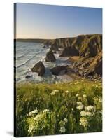 Evening Light on Rock Stacks, Beach and Rugged Coastline, Bedruthan Steps, North Cornwall, England-Neale Clark-Stretched Canvas