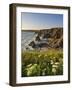 Evening Light on Rock Stacks, Beach and Rugged Coastline, Bedruthan Steps, North Cornwall, England-Neale Clark-Framed Photographic Print