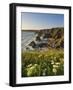 Evening Light on Rock Stacks, Beach and Rugged Coastline, Bedruthan Steps, North Cornwall, England-Neale Clark-Framed Photographic Print