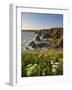 Evening Light on Rock Stacks, Beach and Rugged Coastline, Bedruthan Steps, North Cornwall, England-Neale Clark-Framed Photographic Print