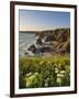 Evening Light on Rock Stacks, Beach and Rugged Coastline, Bedruthan Steps, North Cornwall, England-Neale Clark-Framed Photographic Print