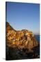 Evening Light on the City of Manarola, Cinque Terre, Italy-Terry Eggers-Stretched Canvas
