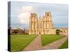 Evening light on the West Front, Wells Cathedral, Wells, Somerset, England, United Kingdom, Europe-Jean Brooks-Stretched Canvas