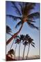 Evening Light on the Westside of Kauai-Terry Eggers-Mounted Photographic Print