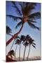 Evening Light on the Westside of Kauai-Terry Eggers-Mounted Photographic Print