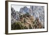 Evening Light on the Yellow Mountains-Terry Eggers-Framed Photographic Print