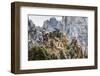 Evening Light on the Yellow Mountains-Terry Eggers-Framed Photographic Print