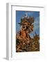 Evening Light on Weathered Whitebark Pine Tree-Steve Terrill-Framed Photographic Print