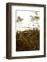 Evening light, shore, Lelång Lake, Dalsland, Sweden-Andrea Lang-Framed Photographic Print