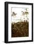 Evening light, shore, Lelång Lake, Dalsland, Sweden-Andrea Lang-Framed Photographic Print