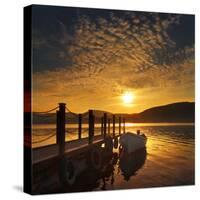 Evening Light, Ullswater-Adrian Campfield-Stretched Canvas