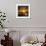 Evening Light, Ullswater-Adrian Campfield-Framed Photographic Print displayed on a wall