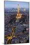 Evening light with Paris as seen from above-Darrell Gulin-Mounted Photographic Print