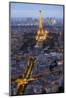 Evening light with Paris as seen from above-Darrell Gulin-Mounted Photographic Print
