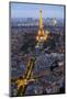 Evening light with Paris as seen from above-Darrell Gulin-Mounted Photographic Print