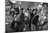 Evening Market in Soho, London, 1906-null-Mounted Art Print