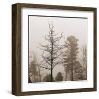 Evening Mist 1 Detail-Marlana Semenza-Framed Art Print