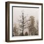 Evening Mist 1 Detail-Marlana Semenza-Framed Art Print