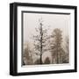 Evening Mist 1 Detail-Marlana Semenza-Framed Art Print