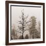 Evening Mist 1 Detail-Marlana Semenza-Framed Art Print