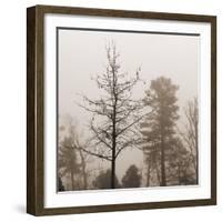 Evening Mist 1 Detail-Marlana Semenza-Framed Art Print